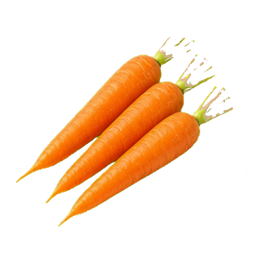 Carrot