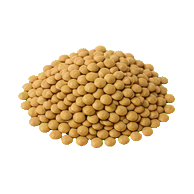 Lentils