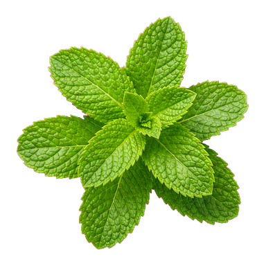 mint