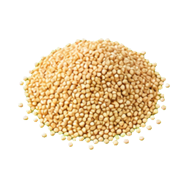 Quinoa